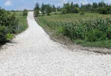 „DRUMURI BUNE PENTRU MOLDOVA”