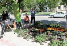 Expo – Tîrgul universal „Primăvara la Singerei”