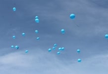 COPII – cele mai frumoase flori de pe pămînt