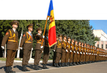 Încorporare primăvară-vară – 2020